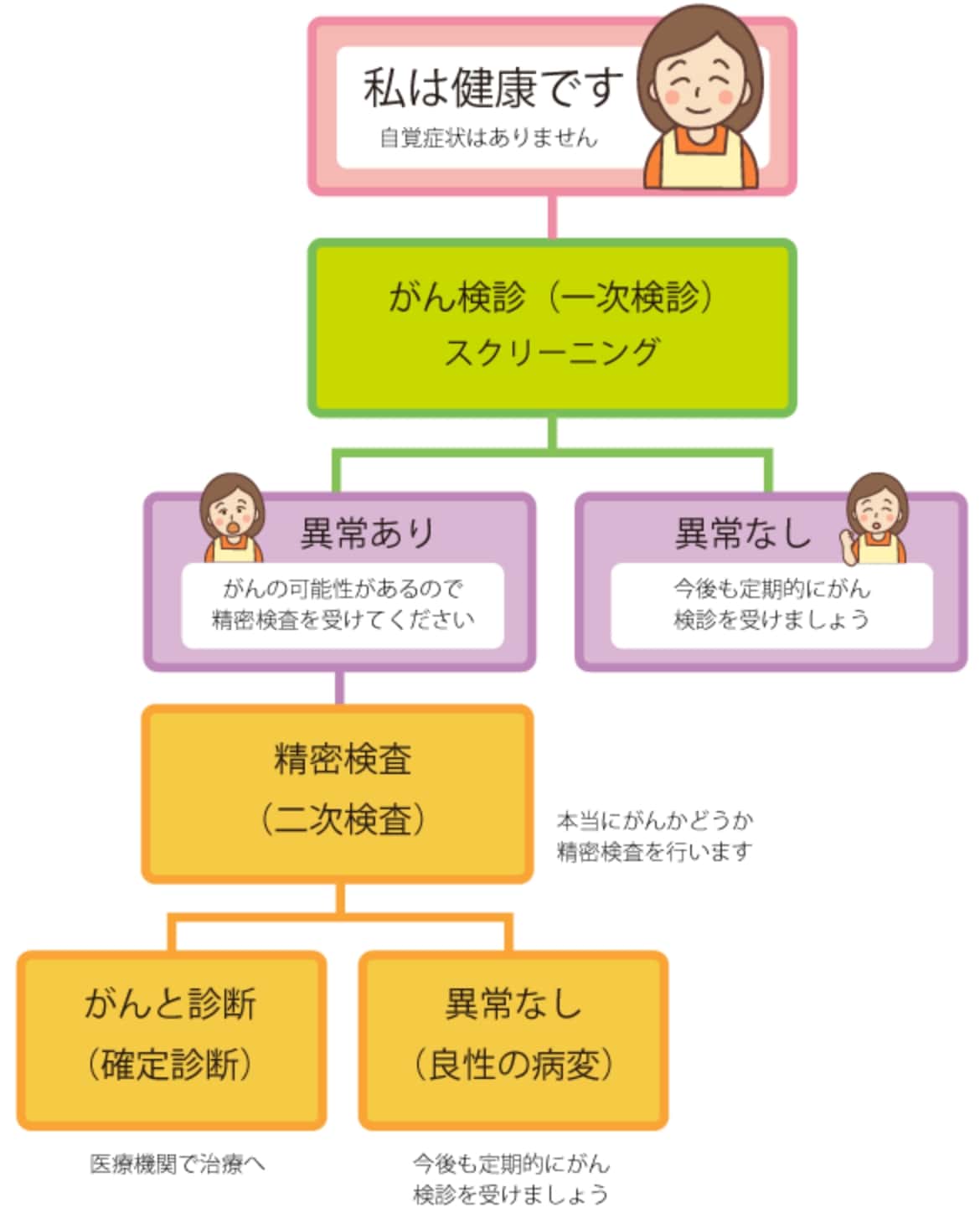 がん検診から治療の流れ